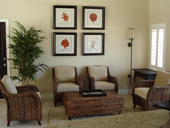Tropical Caribbean Entrance with Plantation Shutters